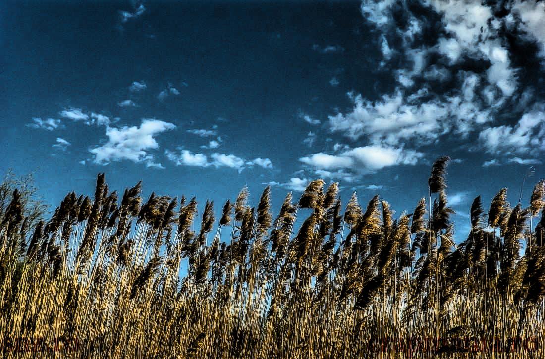 Cupa SBS (2) - 2013 - 1011210hdrmode2.JPG